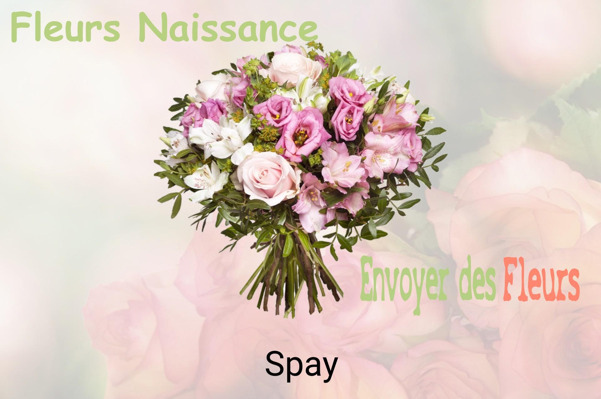 Bouquet de fleurs de naissance livré à Spay